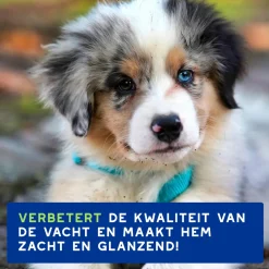 Douxo Spa Shampoo Puppy