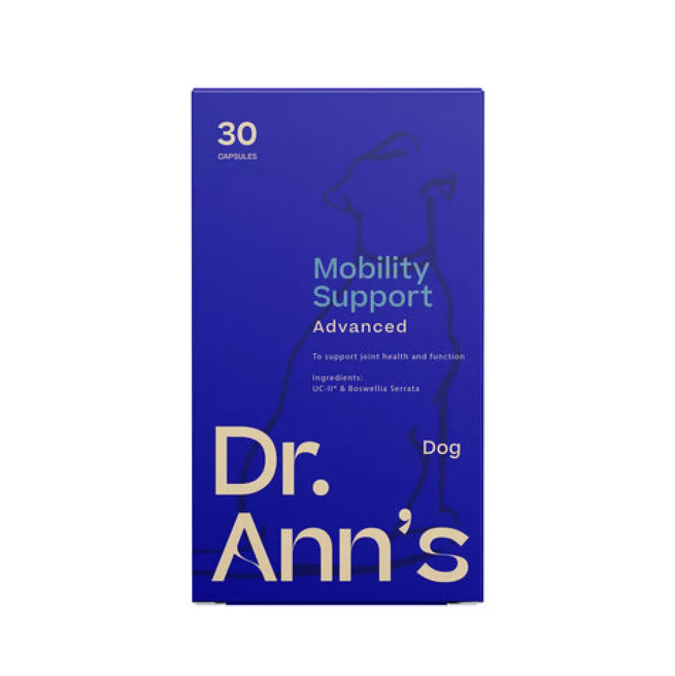 Dr. Ann's Mobility Support Advanced