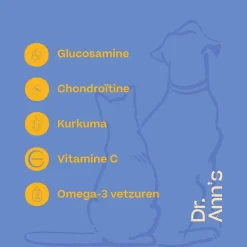 Dr. Ann's Mobility Support Plus