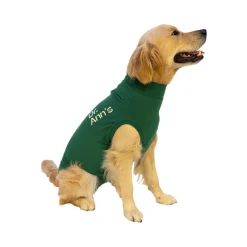 Dr. Ann's Protective Shirt Hond