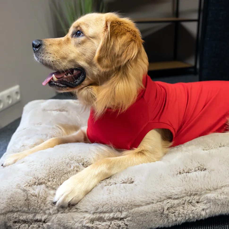Dr. Ann's Protective Shirt Hond
