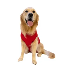 Dr. Ann's Protective Shirt Hond