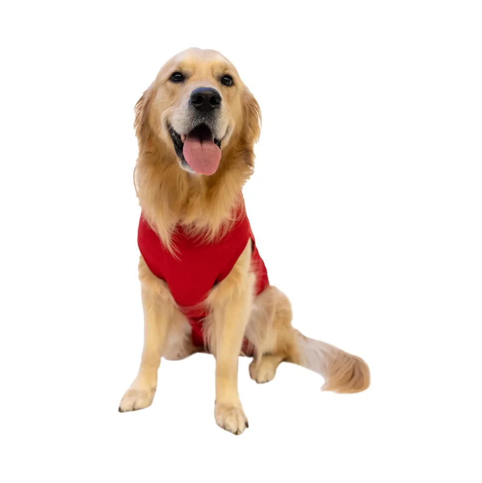 Dr. Ann's Protective Shirt Hond