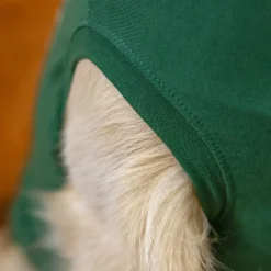 Dr. Ann's Protective Shirt Hond
