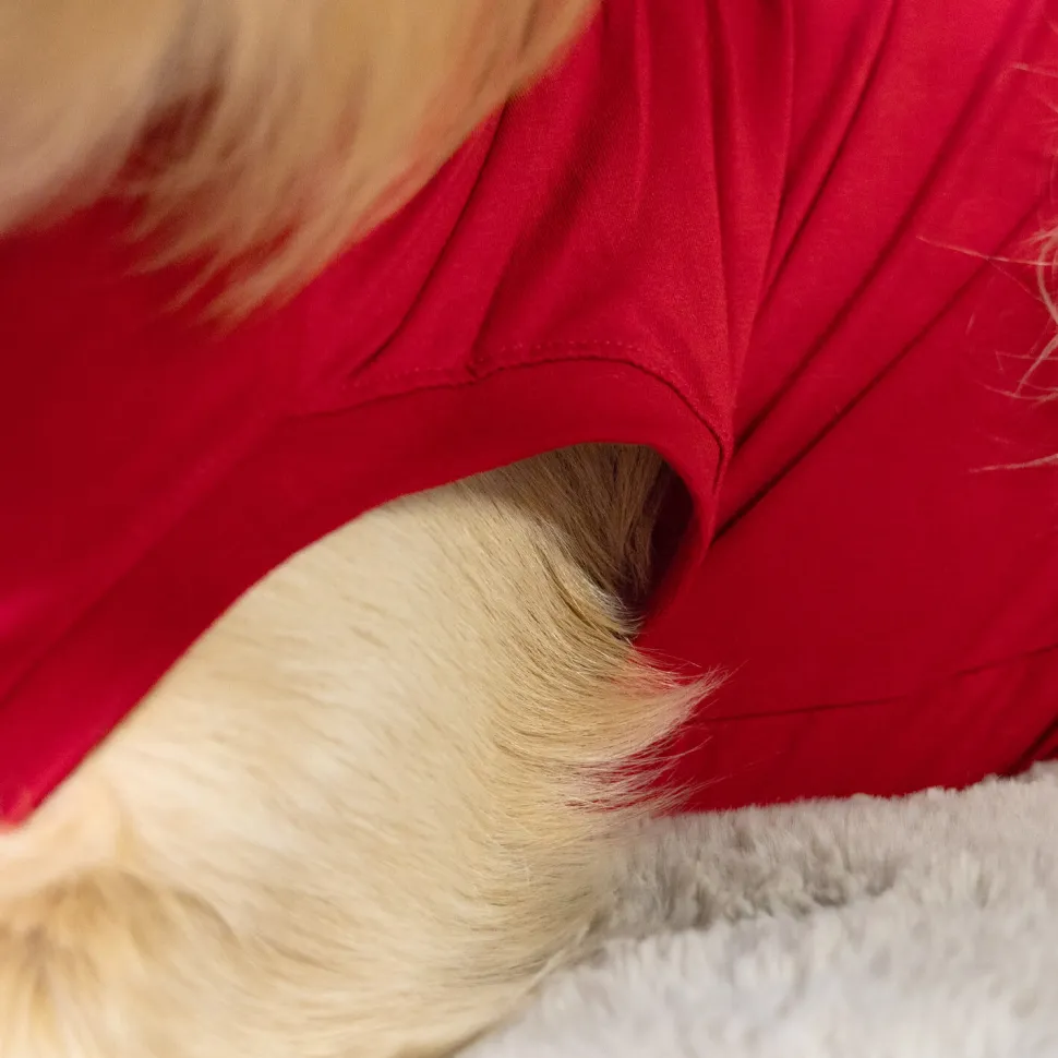 Dr. Ann's Protective Shirt Hond