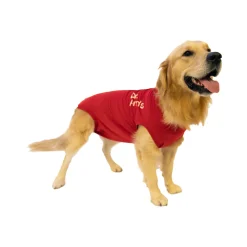 Dr. Ann's Protective Shirt Hond