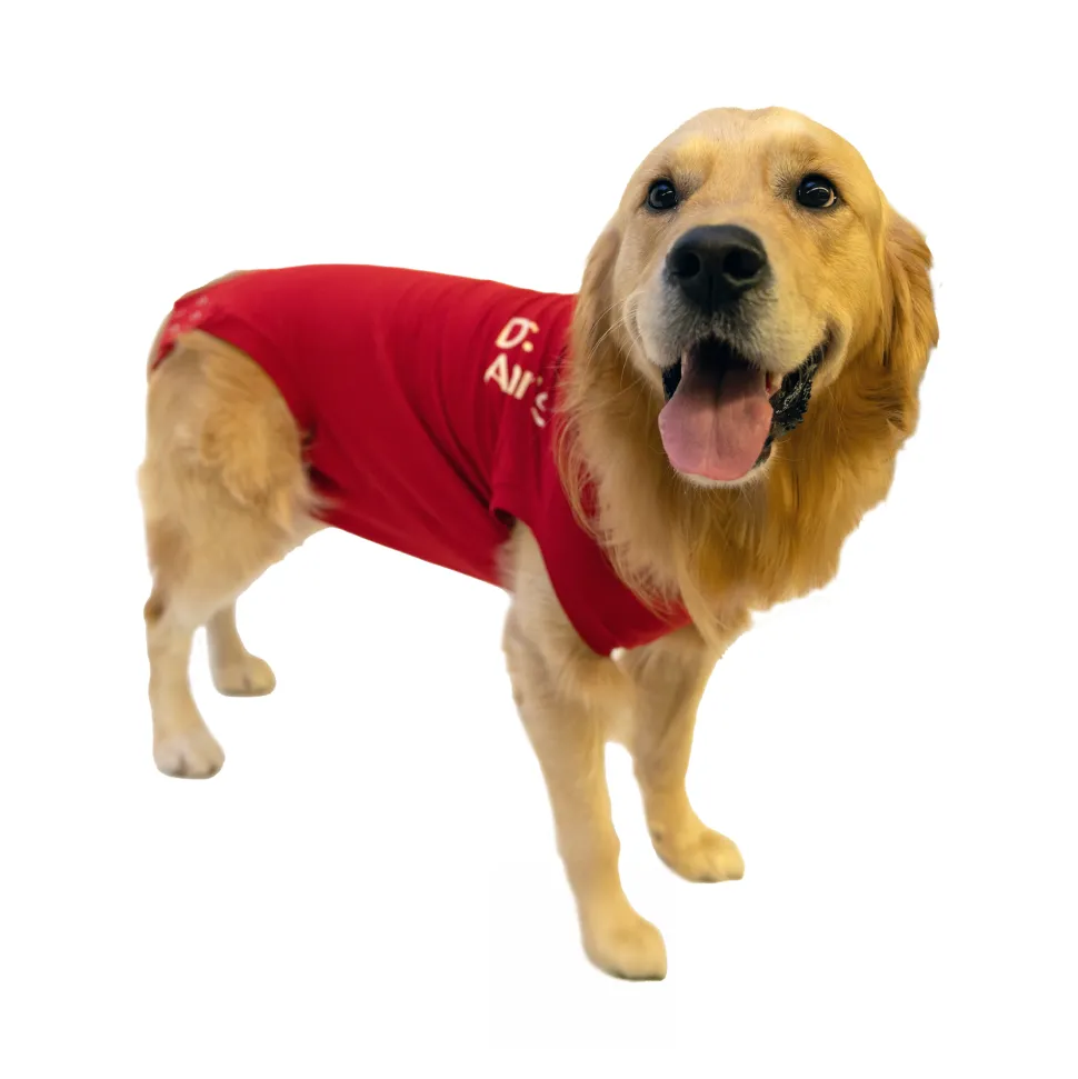 Dr. Ann's Protective Shirt Hond