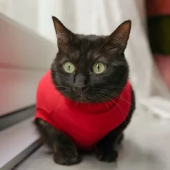 Dr. Ann's Protective Shirt Kat