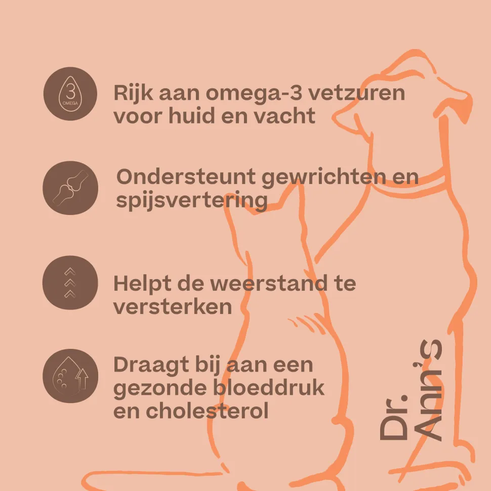 Dr. Ann's Salmon Oil