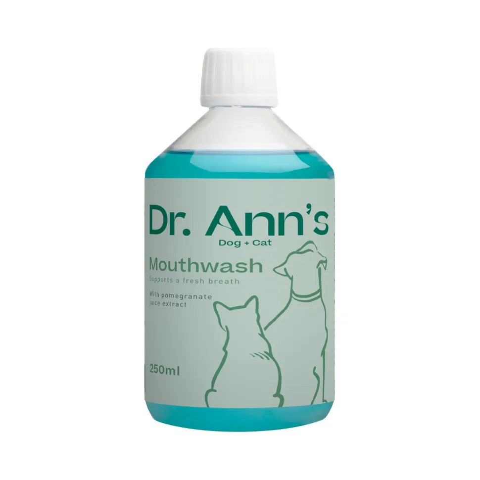 Dr. Ann's Verzorgingspakket