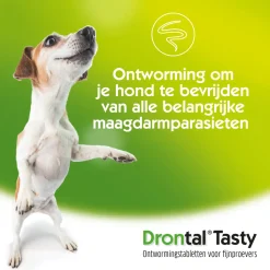 Drontal Dog Tasty
