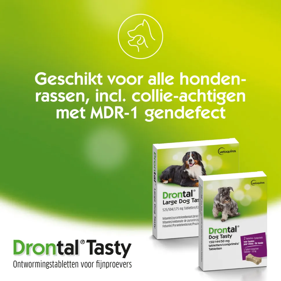 Drontal Dog Tasty