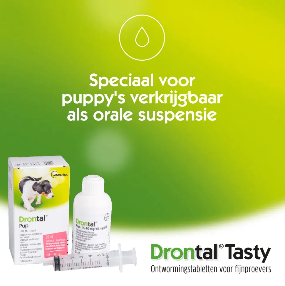 Drontal Dog Tasty