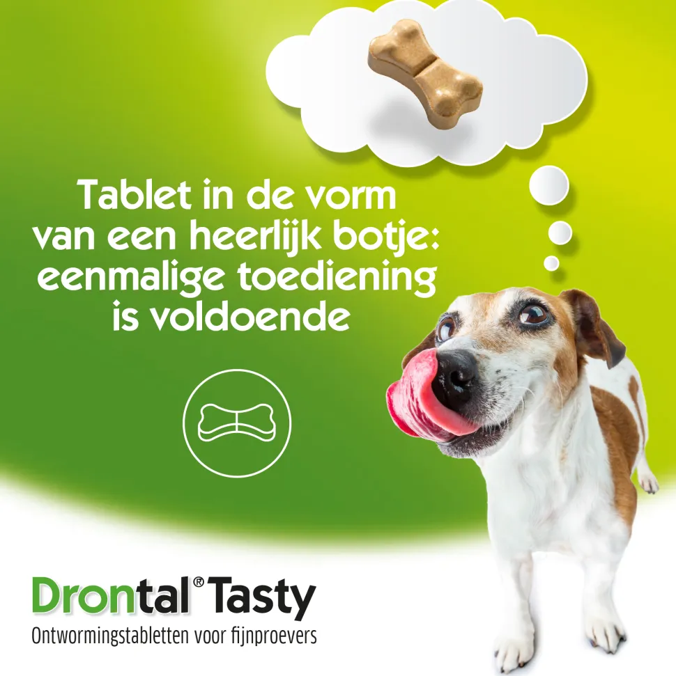 Drontal Dog Tasty