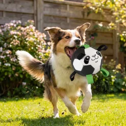 Duvo+ Voetbal Panda