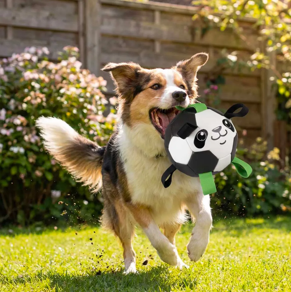 Duvo+ Voetbal Panda