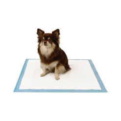 Easypets Trainingspads