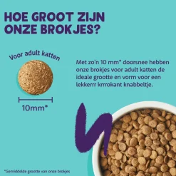 Edgard & Cooper Adult Cat - Atlantische Zalm - Kibbles