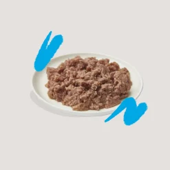 Edgard & Cooper Adult Cat - Organic - Zalm en Kip - Paté