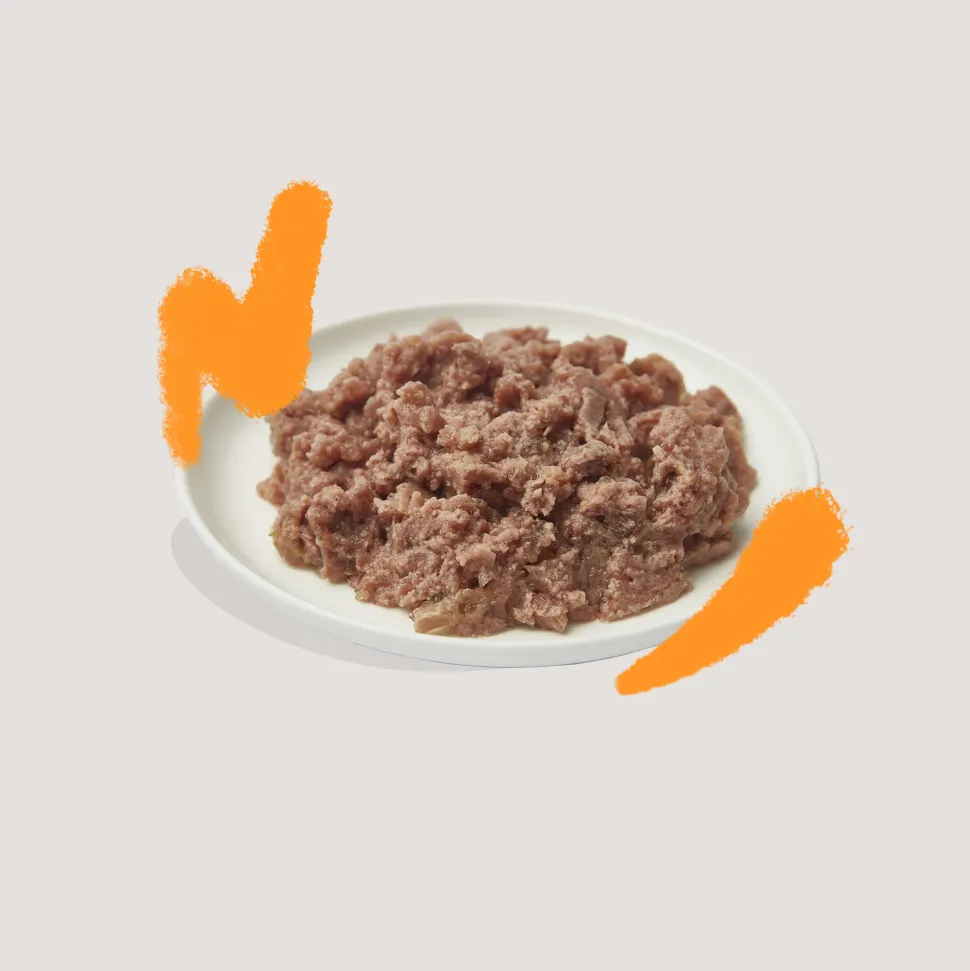 Edgard & Cooper Adult Cat - Organic - Kip - Paté