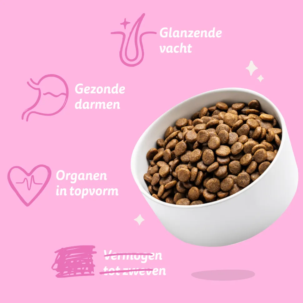 Edgard & Cooper Adult Plant Based Hondenvoer - Rode Biet & Pompoen