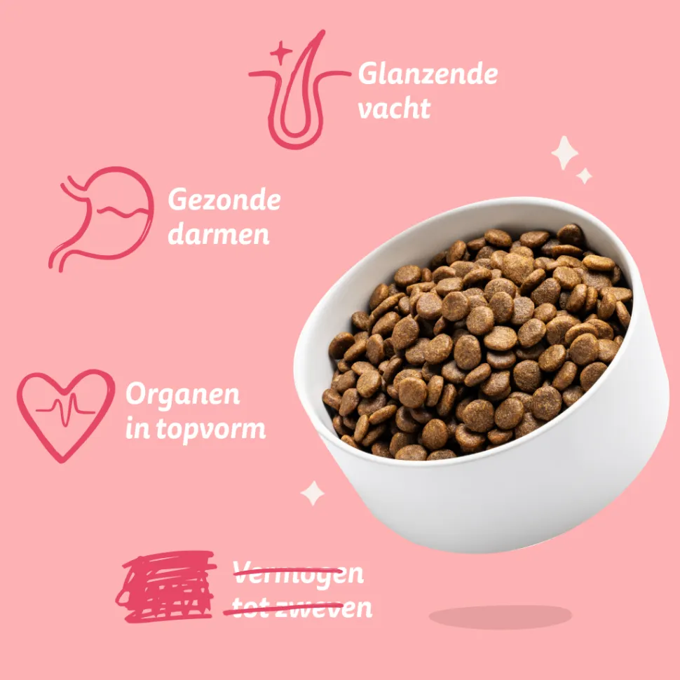 Edgard & Cooper Biologisch Adult - Rund & Kip