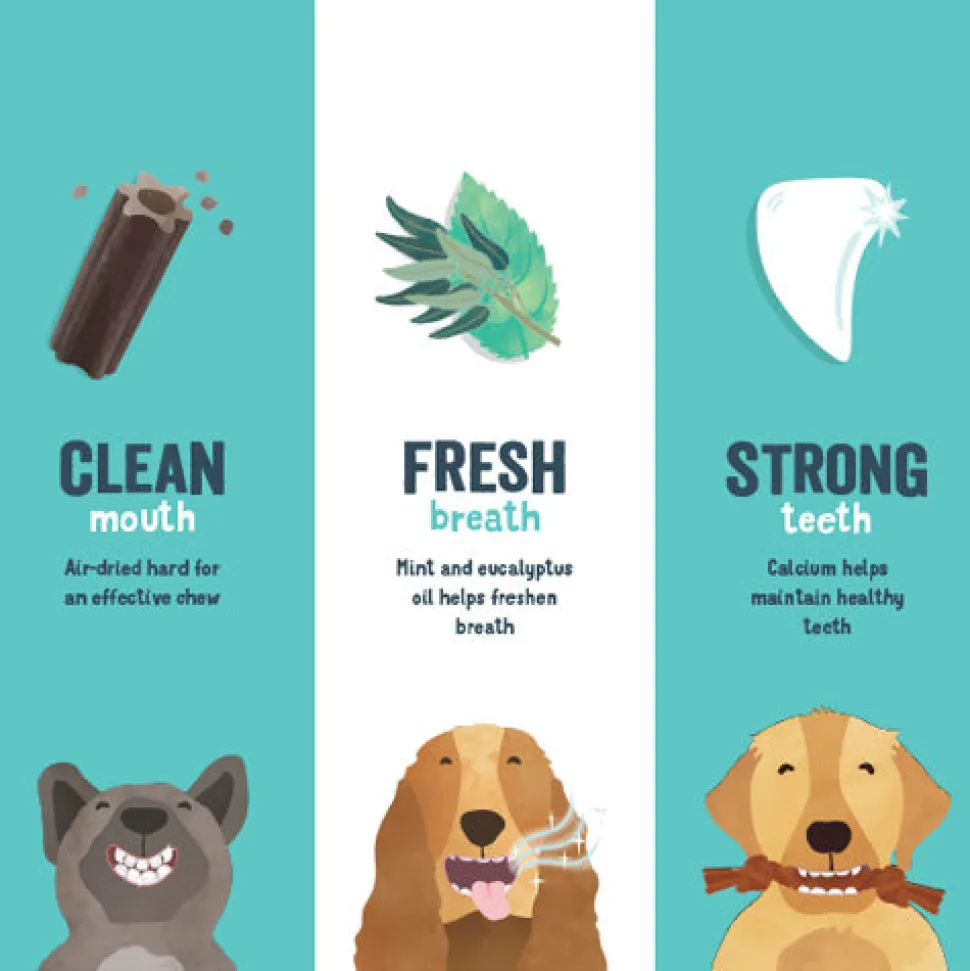 Edgard & Cooper Doggy Dental - Appel & Eucalyptus
