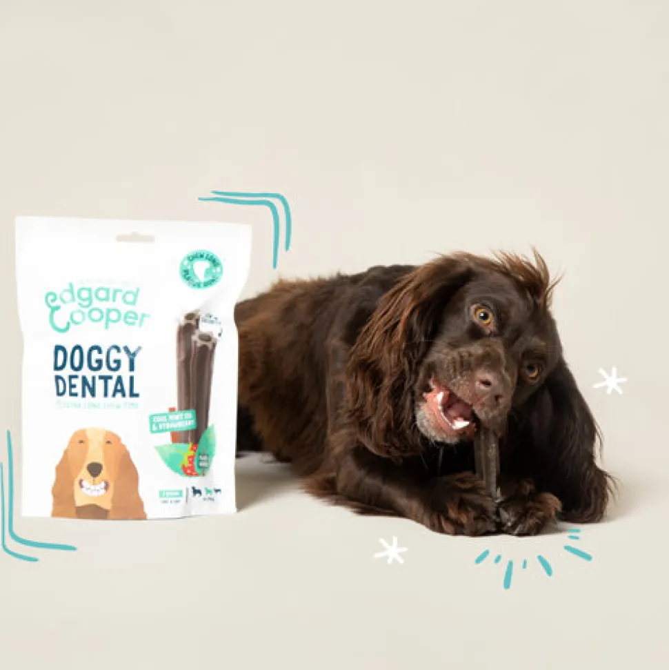 Edgard & Cooper Doggy Dental - Appel & Eucalyptus