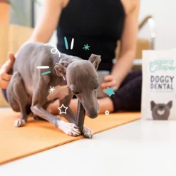 Edgard & Cooper Doggy Dental - Munt & Aardbei