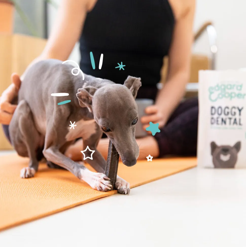 Edgard & Cooper Doggy Dental - Munt & Aardbei