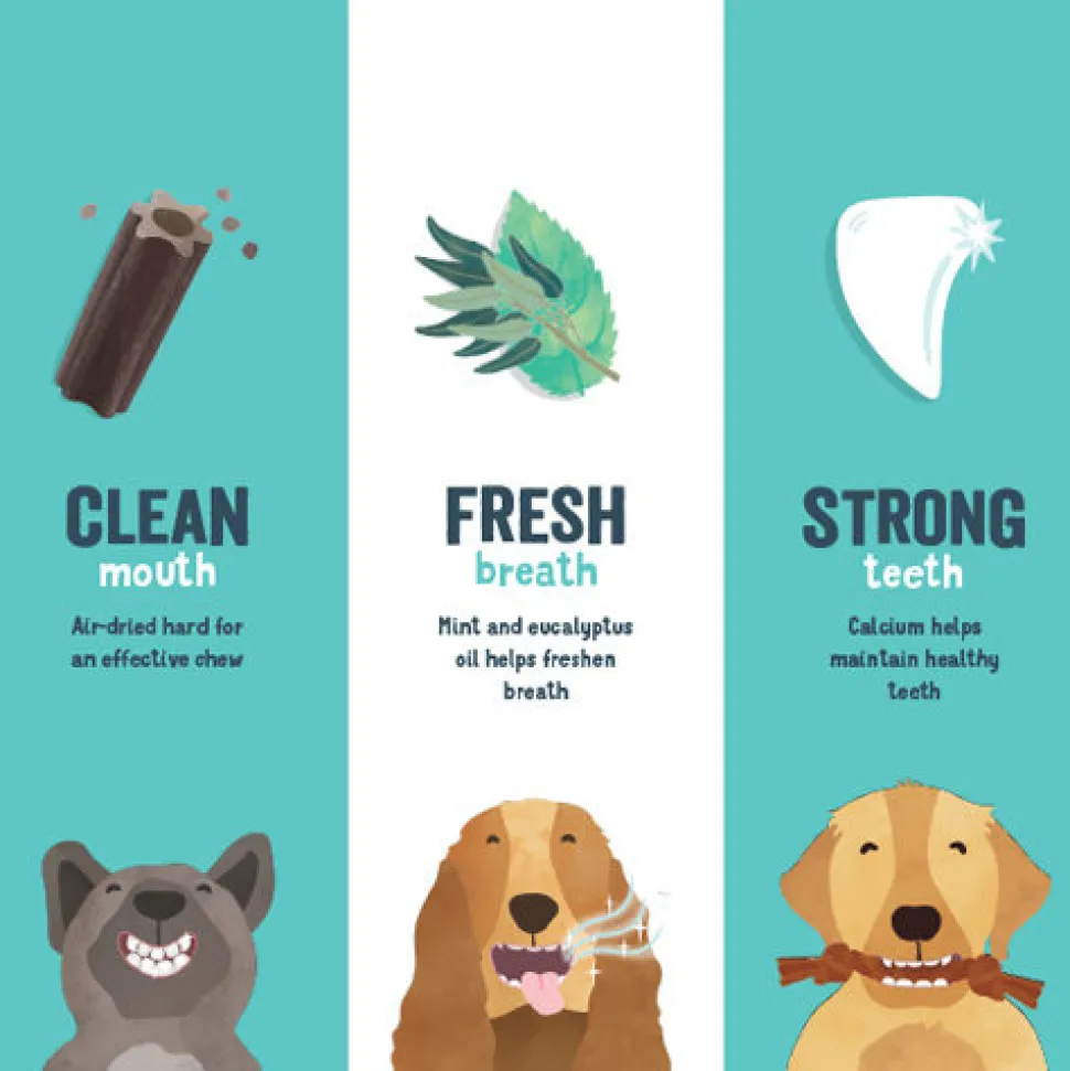 Edgard & Cooper Doggy Dental - Munt & Aardbei