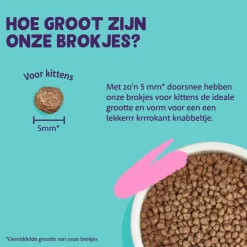 Edgard & Cooper Kitten - Vrije Uitloop Eend en Kip - Kibbles
