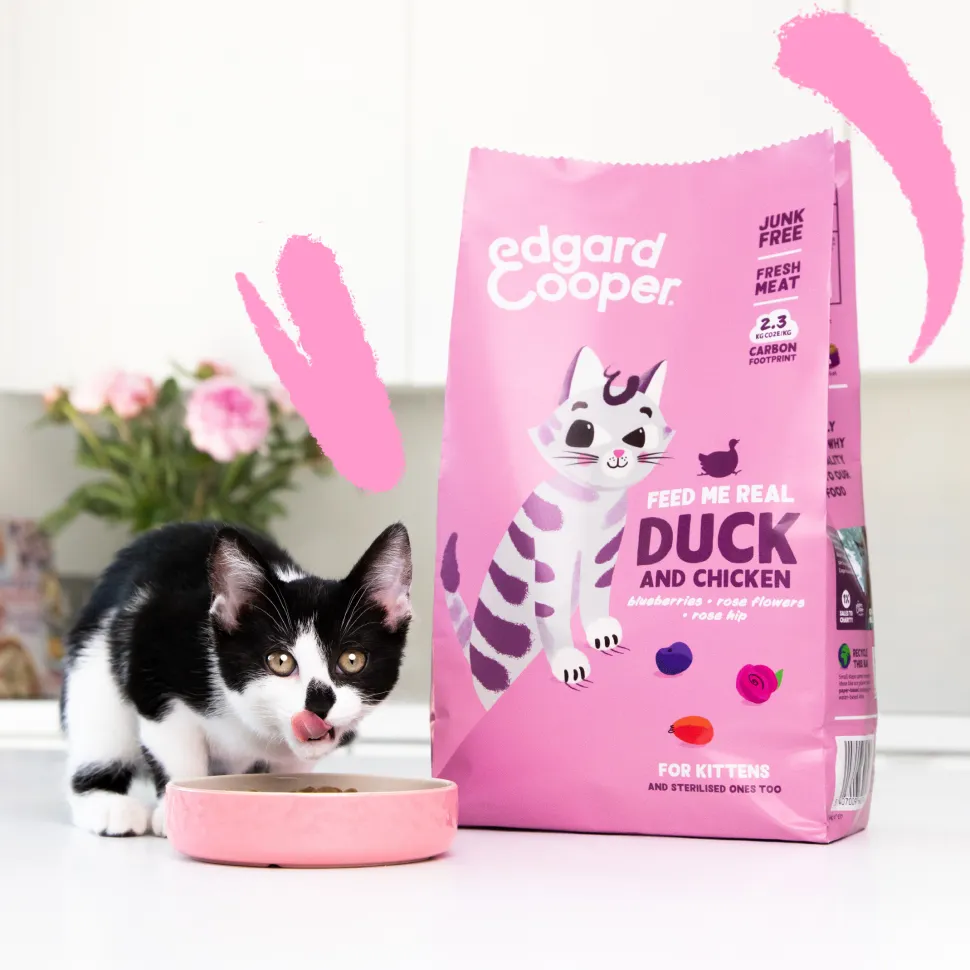 Edgard & Cooper Kitten - Vrije Uitloop Eend en Kip - Kibbles
