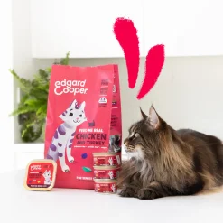 Edgard & Cooper Senior Cat - Vrije Uitloop Kip en Kalkoen - Kibbles