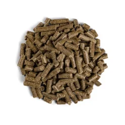 Equilannoo Breeding Cube - Paardenvoer