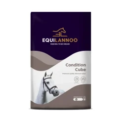 Equilannoo Condition Cube - Paardenvoer