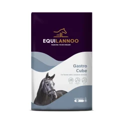 Equilannoo Gastro Cube - Paardenvoer
