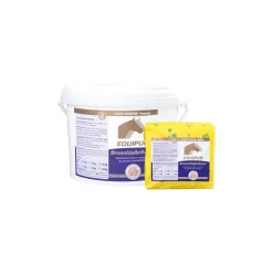 Equipur Bronchialkräuter