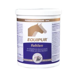Equipur Fohlen