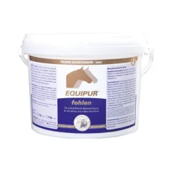 Equipur Fohlen