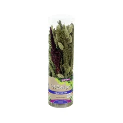 ESVE Pet Bouquet Koker Equator