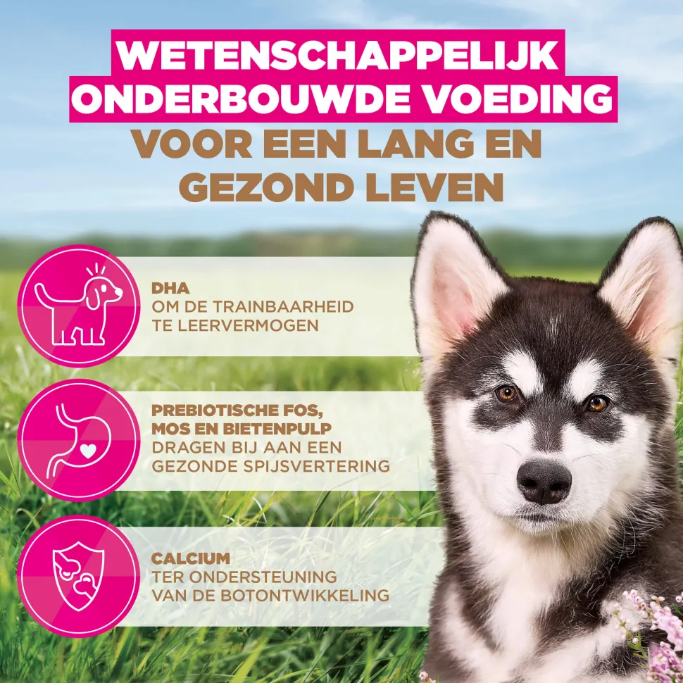 Eukanuba Dog Puppy & Junior Large Grainfree Hondenvoer