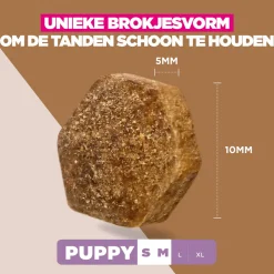 Eukanuba Dog Puppy Small/Medium Grainfree Hondenvoer
