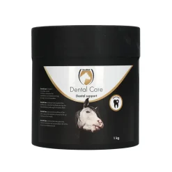 Excellent Horse Dental Care