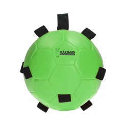 Excellent Horse Fun Play Ball