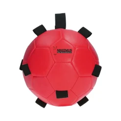 Excellent Horse Fun Play Ball