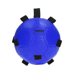 Excellent Horse Fun Play Ball