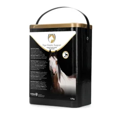 Excellent Horse Gastro Support