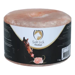 Excellent Horse Salt Lick Himalaya