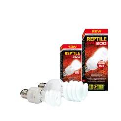 Exo Terra Compact Lamp